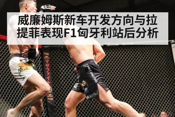 威廉姆斯新车开发方向与拉提菲表现F1匈牙利站后分析