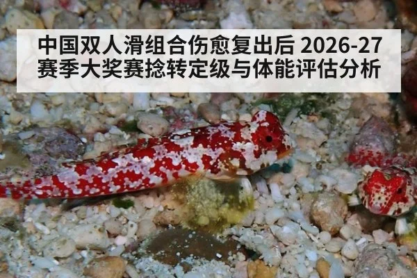 中国双人滑组合伤愈复出后 2026-27赛季大奖赛捻转定级与体能评估分析